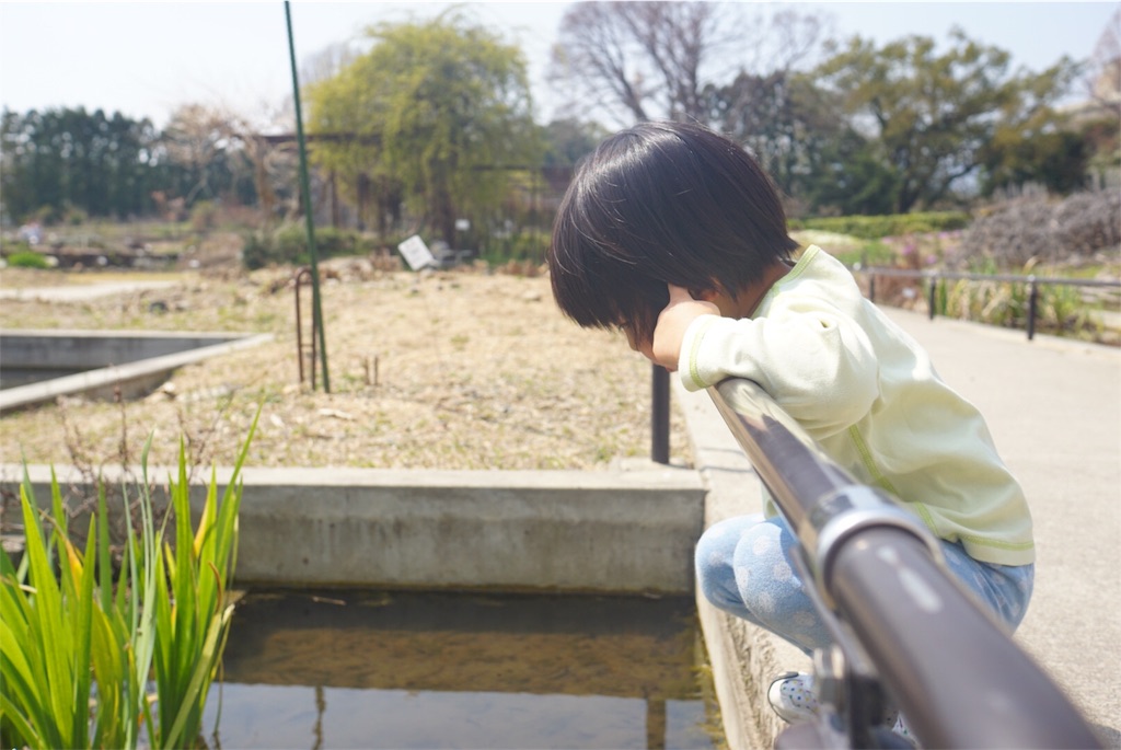 f:id:withme24:20180328232249j:image f:id:withme24:20180328232249j:image