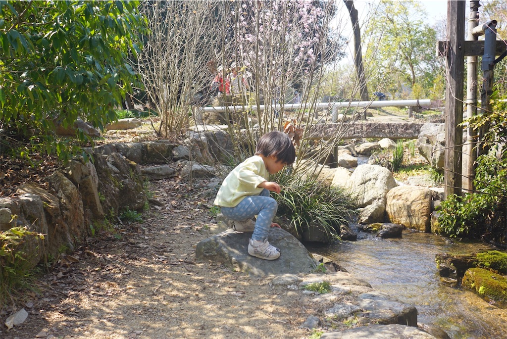 f:id:withme24:20180328232652j:image f:id:withme24:20180328232652j:image