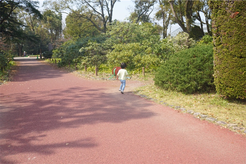 f:id:withme24:20180328232728j:image f:id:withme24:20180328232728j:image