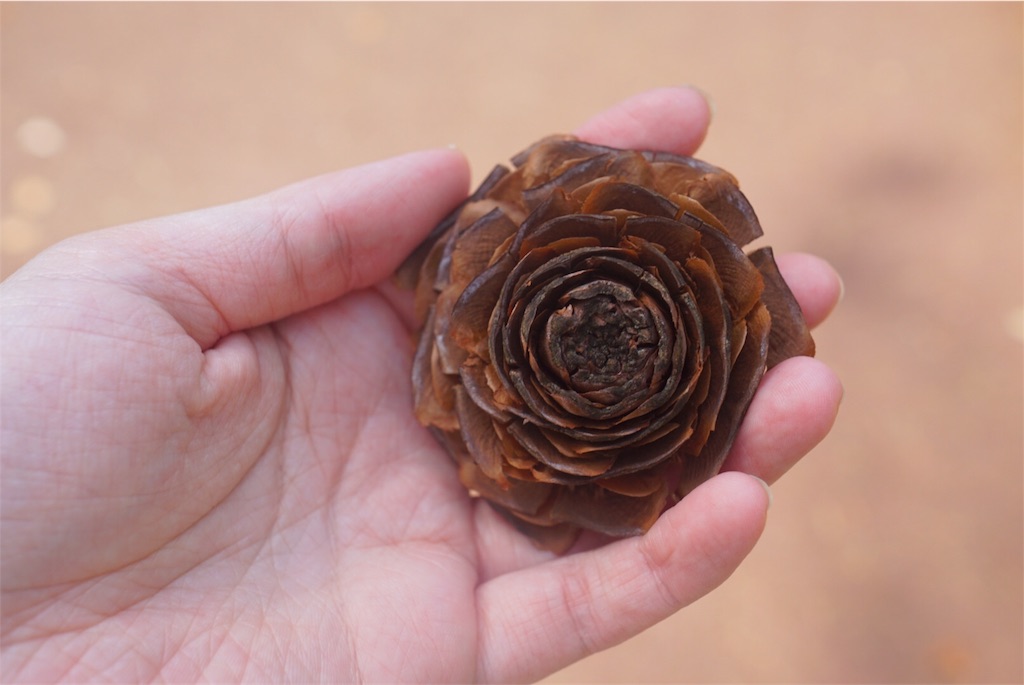 f:id:withme24:20180328233045j:image f:id:withme24:20180328233045j:image