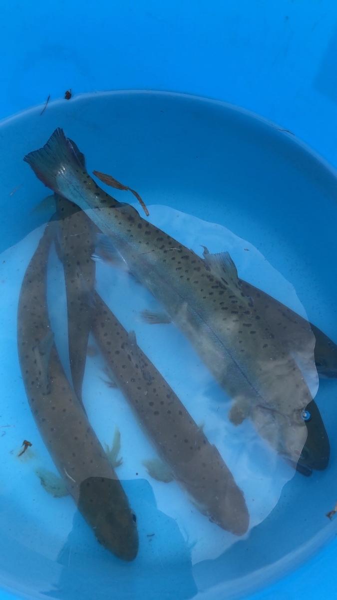 f:id:withme24:20220228203437j:plain