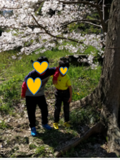 f:id:withsonobe:20170408123613p:plain