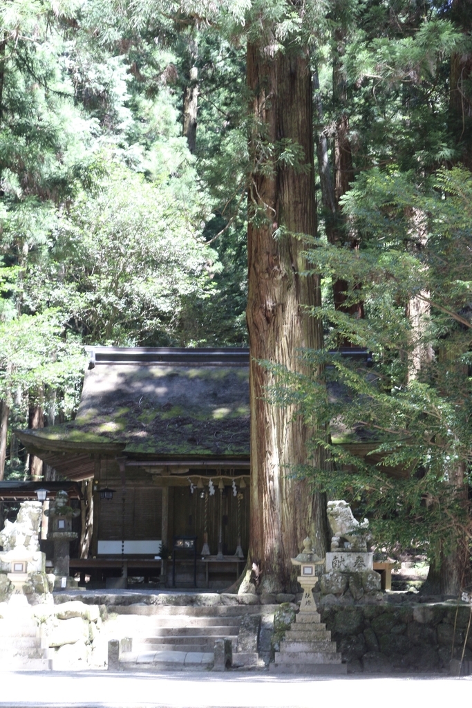 f:id:wiwasaki384:20190213142536j:plain f:id:wiwasaki384:20190213142536j:plain