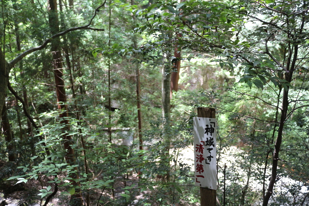 f:id:wiwasaki384:20190213142641j:plain f:id:wiwasaki384:20190213142641j:plain