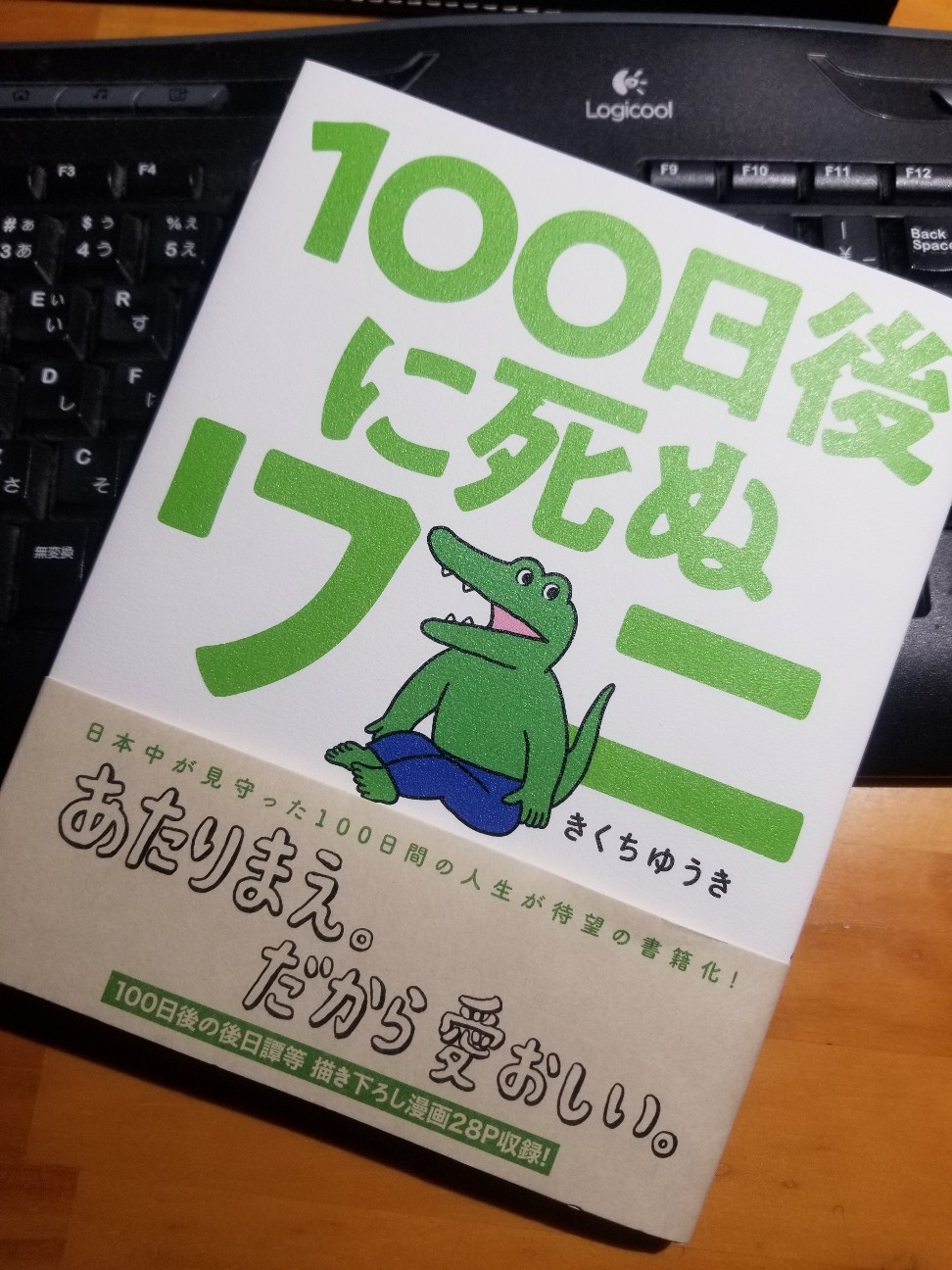 f:id:wkbdx:20200415001215j:image f:id:wkbdx:20200415001215j:image
