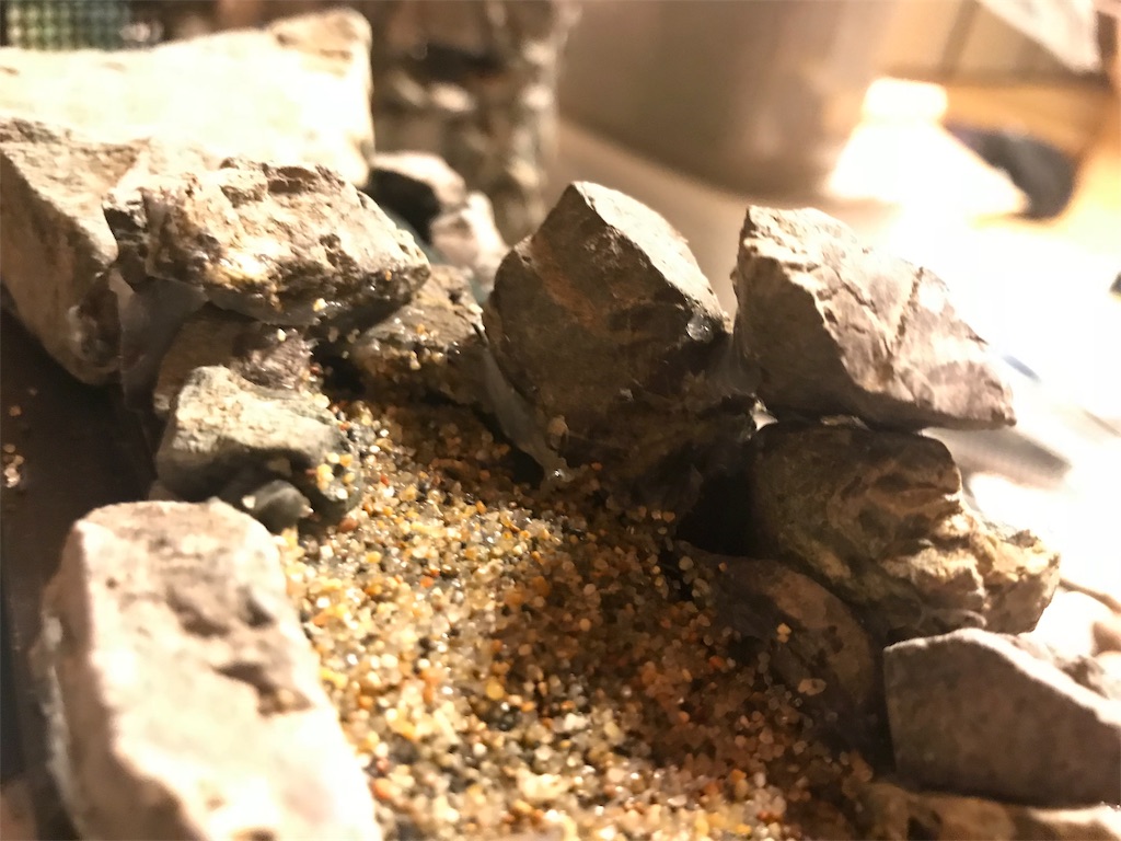 f:id:wkldpiqbl:20181013220920j:image f:id:wkldpiqbl:20181013220920j:image
