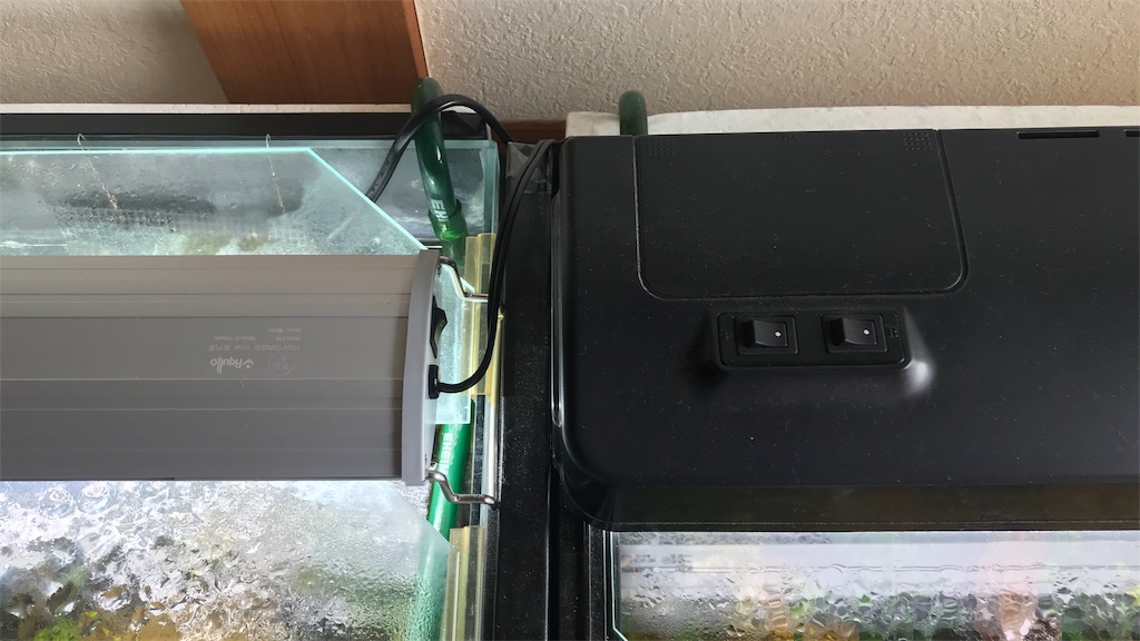f:id:wkldpiqbl:20181020141440j:image f:id:wkldpiqbl:20181020141440j:image