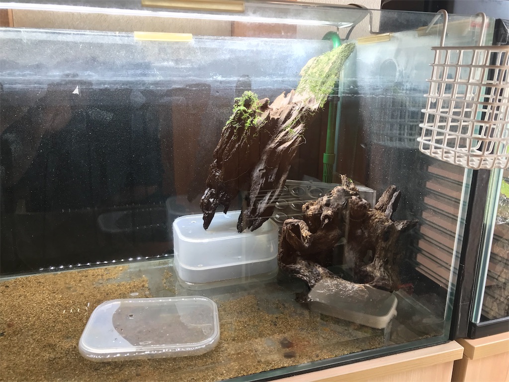 f:id:wkldpiqbl:20181025210006j:image f:id:wkldpiqbl:20181025210006j:image