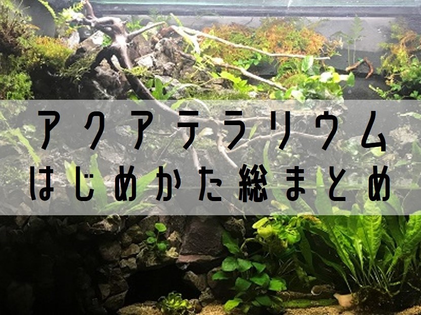 アクアテラまとめ