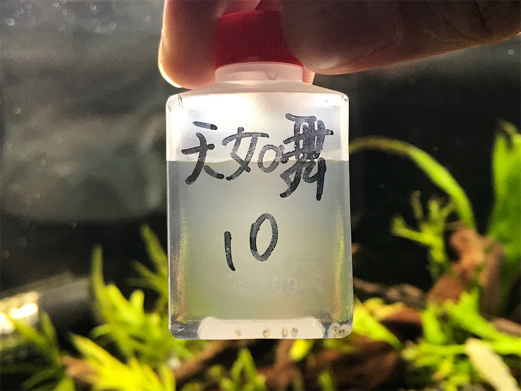 f:id:wkldpiqbl:20181105211108j:image f:id:wkldpiqbl:20181105211108j:image