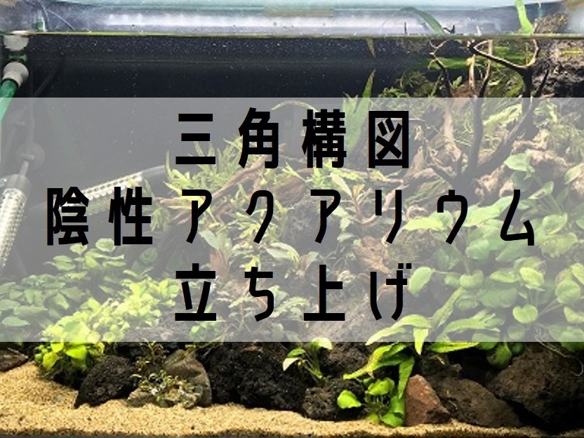 アクア三角