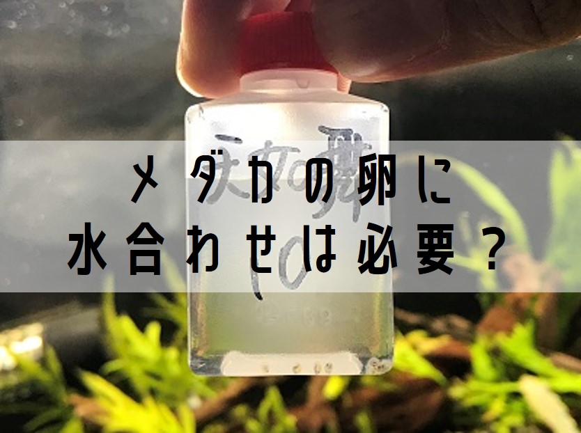画像の説明
