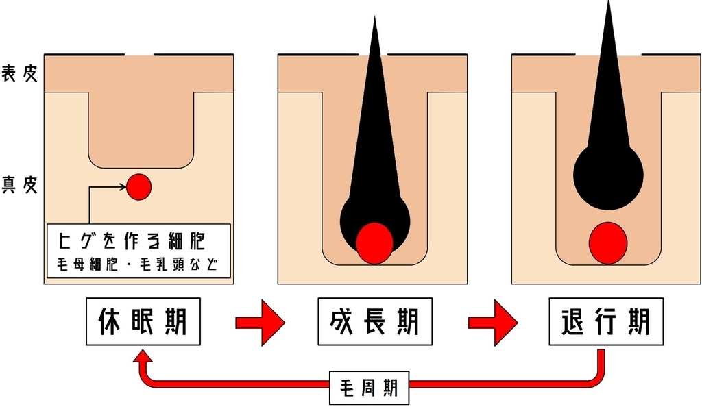 f:id:wkldpiqbl:20181121171913j:plain f:id:wkldpiqbl:20181121171913j:plain
