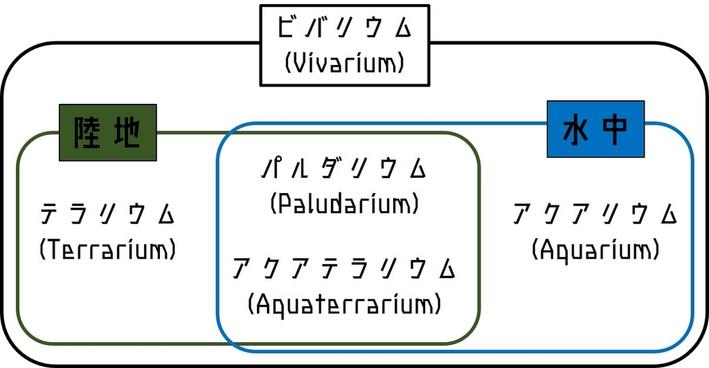 アクアテラリウムとは 意味 と 良さ と 注意点 をまとめる Diyなアクアリウム
