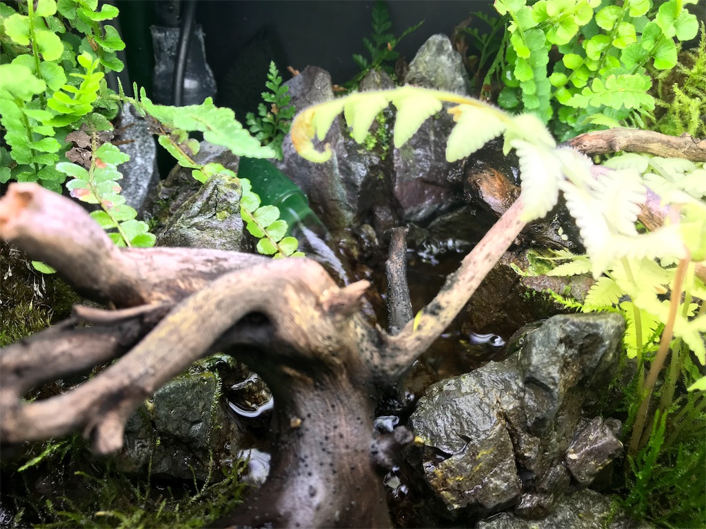 f:id:wkldpiqbl:20190119182309j:image f:id:wkldpiqbl:20190119182309j:image