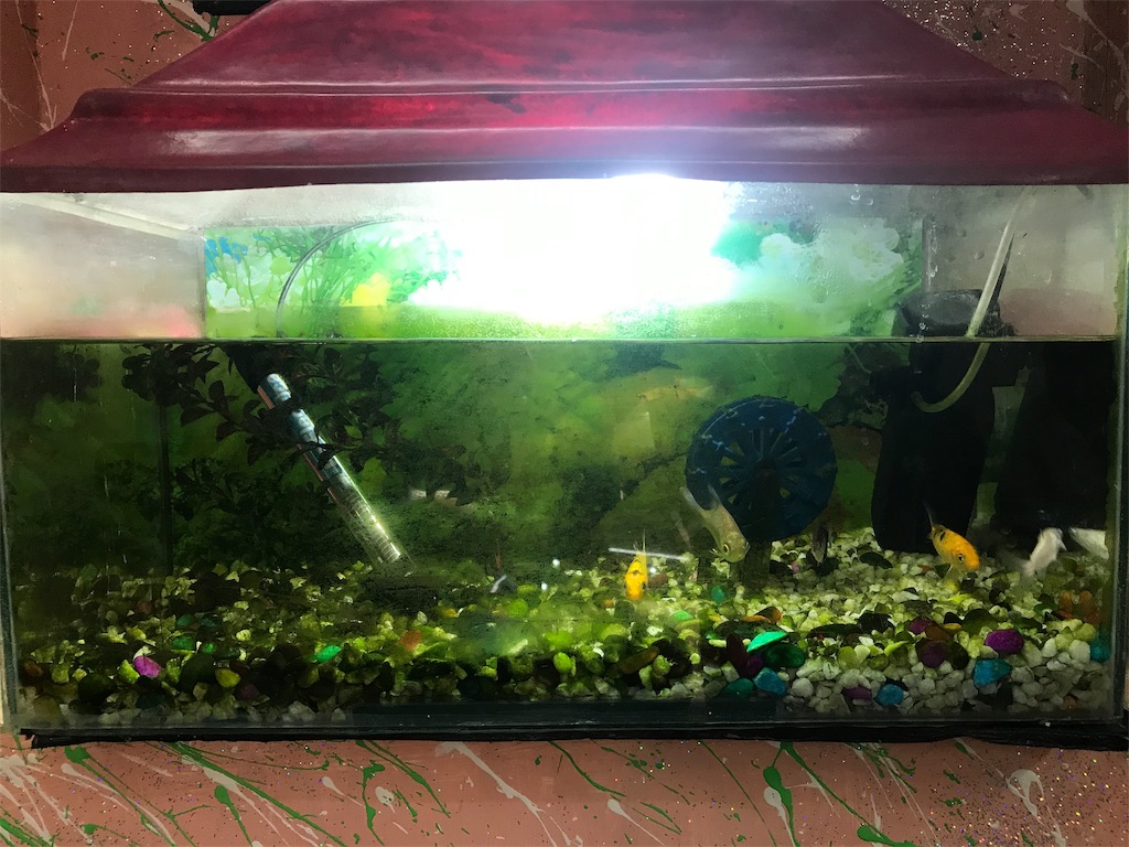 f:id:wkldpiqbl:20190505221123j:image f:id:wkldpiqbl:20190505221123j:image