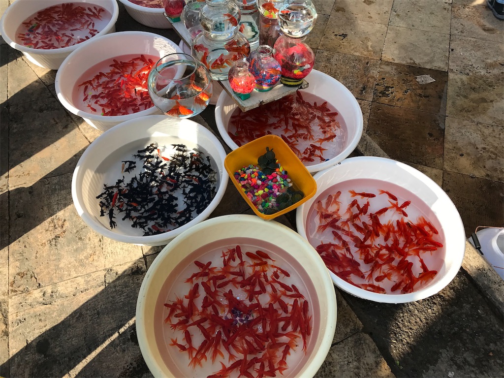 f:id:wkldpiqbl:20190506220813j:image f:id:wkldpiqbl:20190506220813j:image
