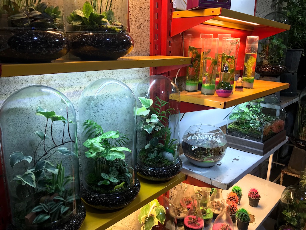 f:id:wkldpiqbl:20190506220829j:image f:id:wkldpiqbl:20190506220829j:image