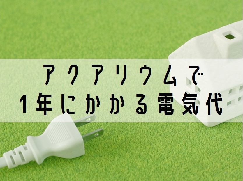画像の説明