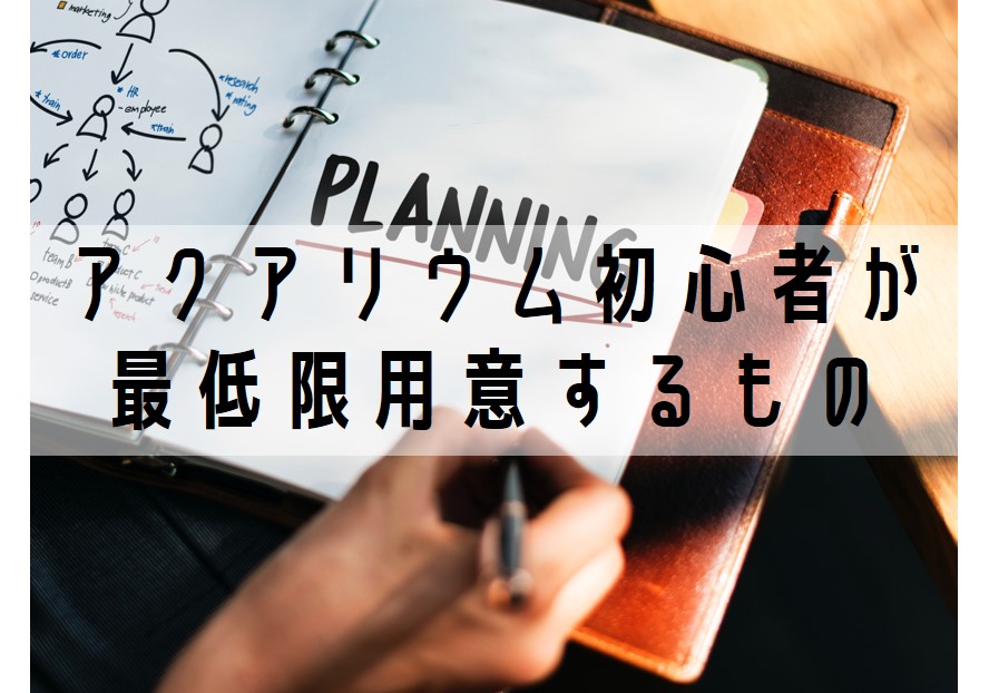 画像の説明
