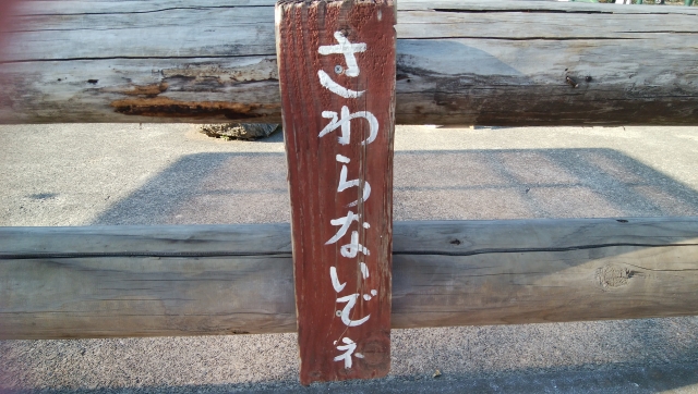 f:id:wkldpiqbl:20190617202401j:plain