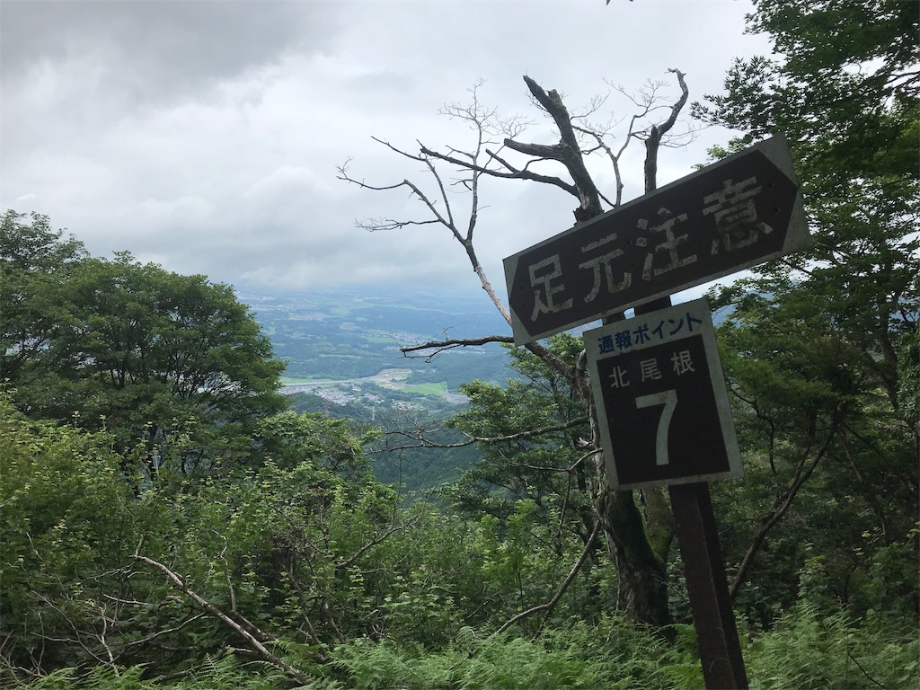 f:id:wkldpiqbl:20190709213934j:image f:id:wkldpiqbl:20190709213934j:image
