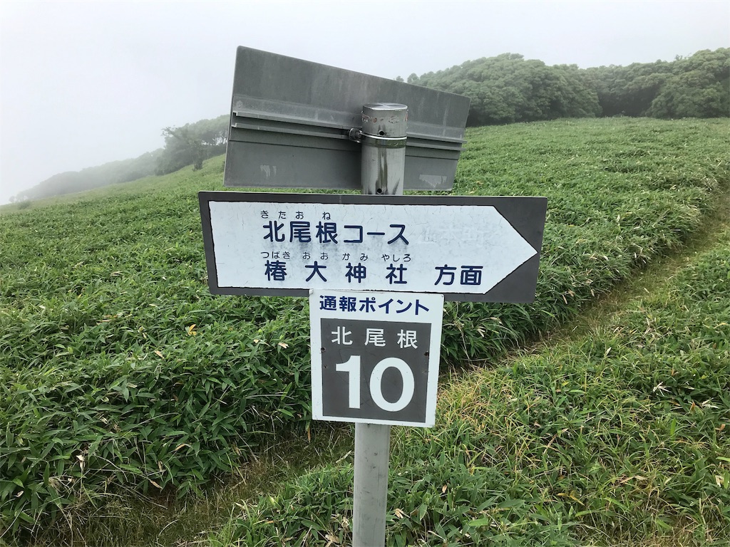f:id:wkldpiqbl:20190709213948j:image f:id:wkldpiqbl:20190709213948j:image