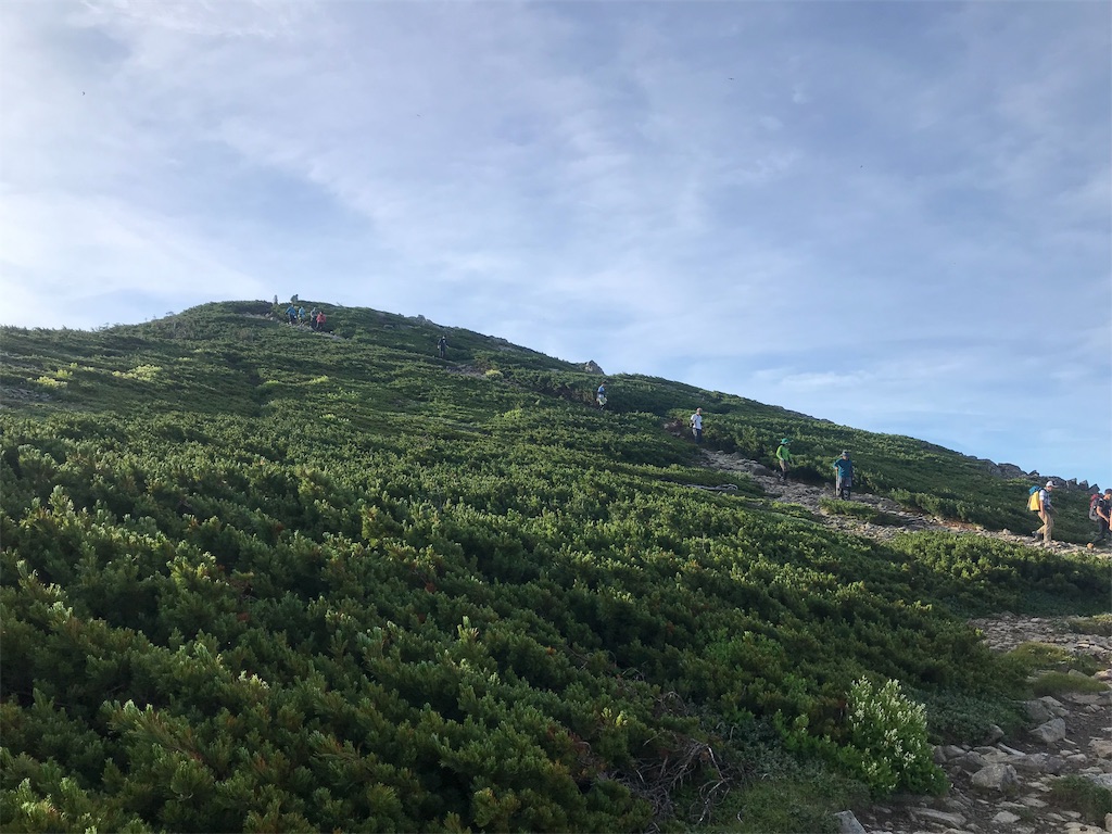 f:id:wkldpiqbl:20190815222007j:image f:id:wkldpiqbl:20190815222007j:image