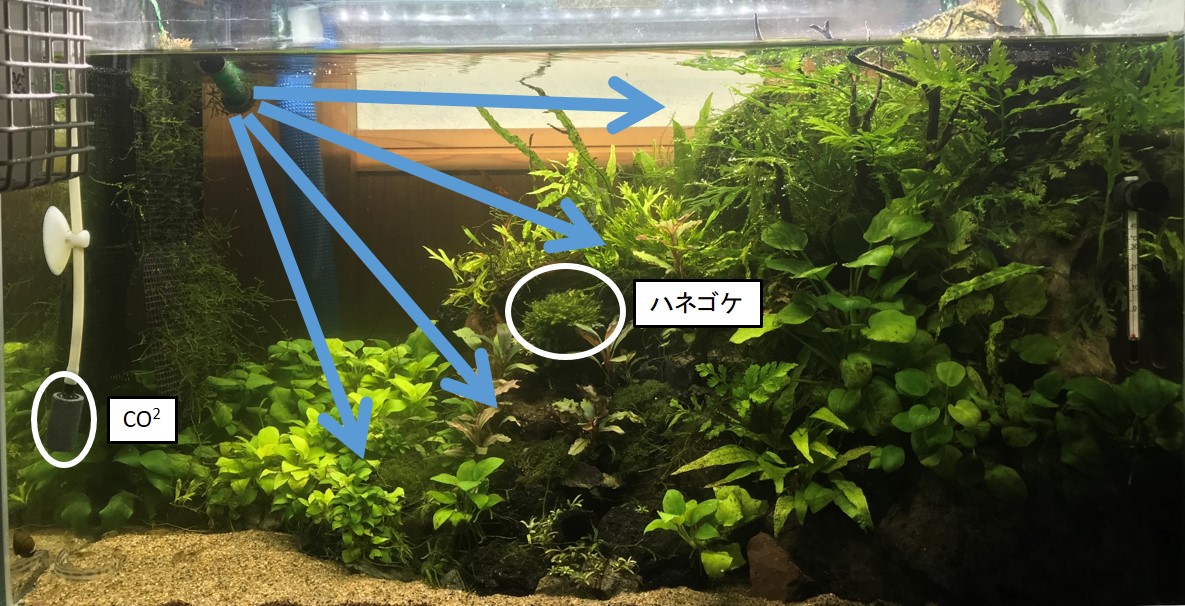f:id:wkldpiqbl:20191001195037j:plain f:id:wkldpiqbl:20191001195037j:plain