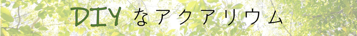 DIYなアクアリウム