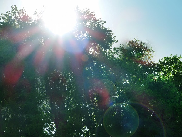 f:id:wkldpiqbl:20200628105809j:plain