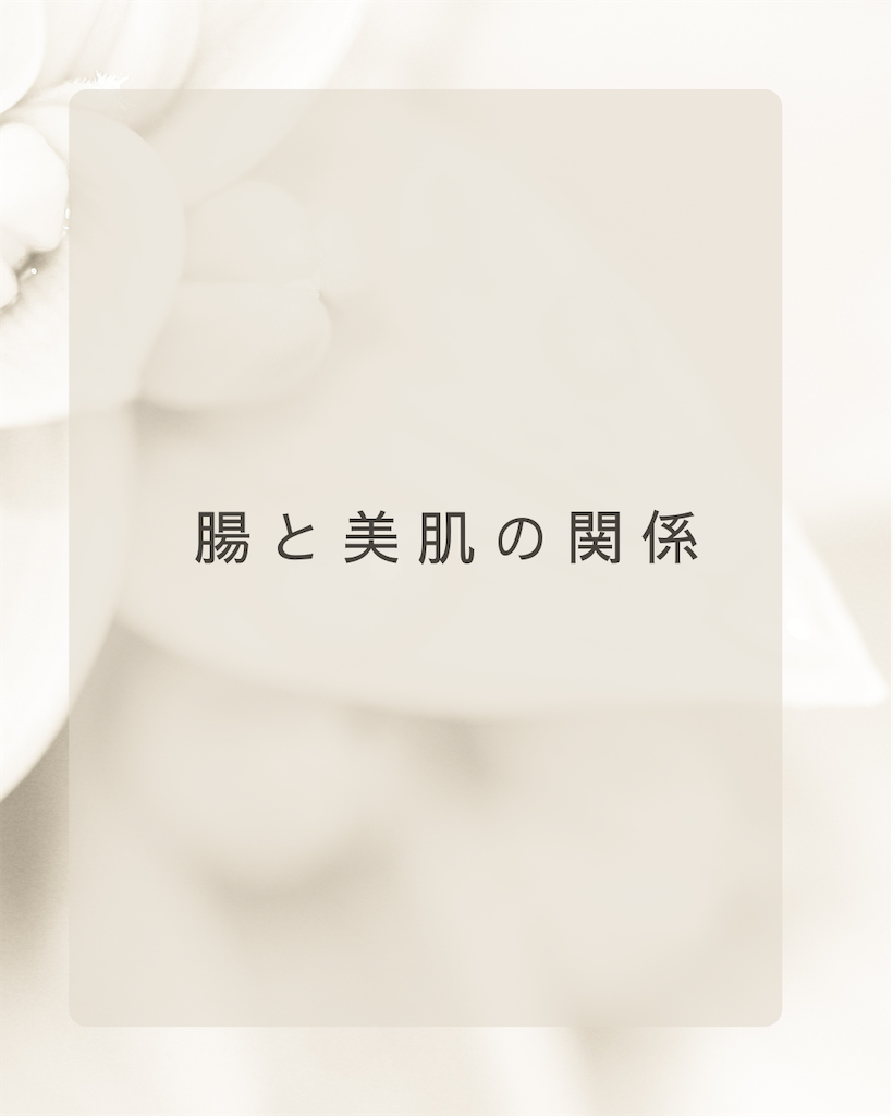f:id:wks01:20250302090655p:image