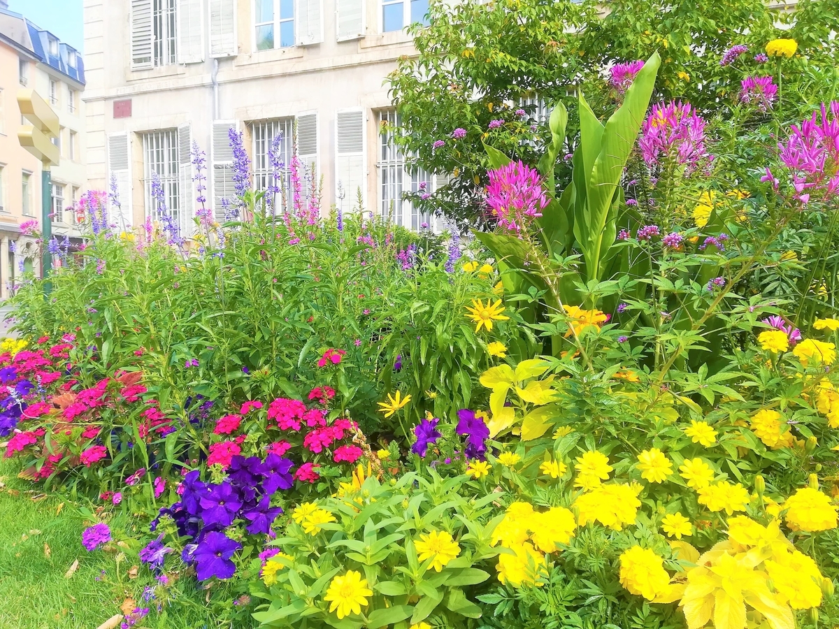 f:id:wkwkdeikou:20190319070339j:plain f:id:wkwkdeikou:20190319070339j:plain