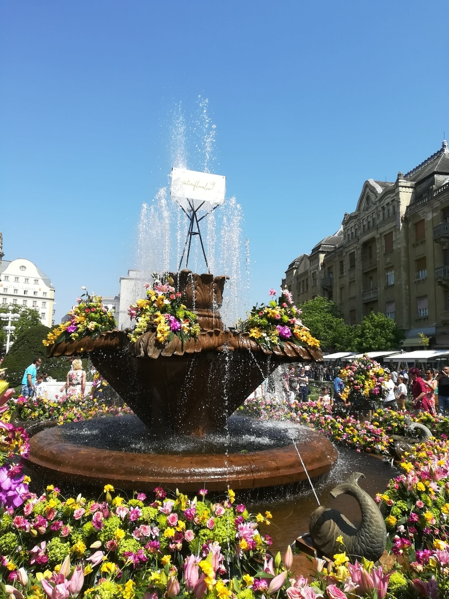 f:id:wkwkdeikou:20210317044150j:plain