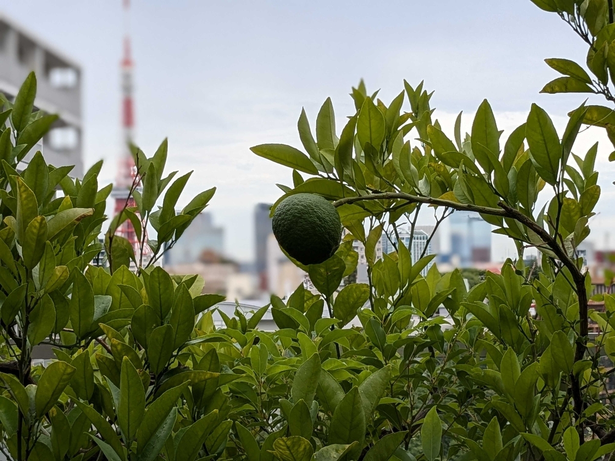 東京タワーが背景