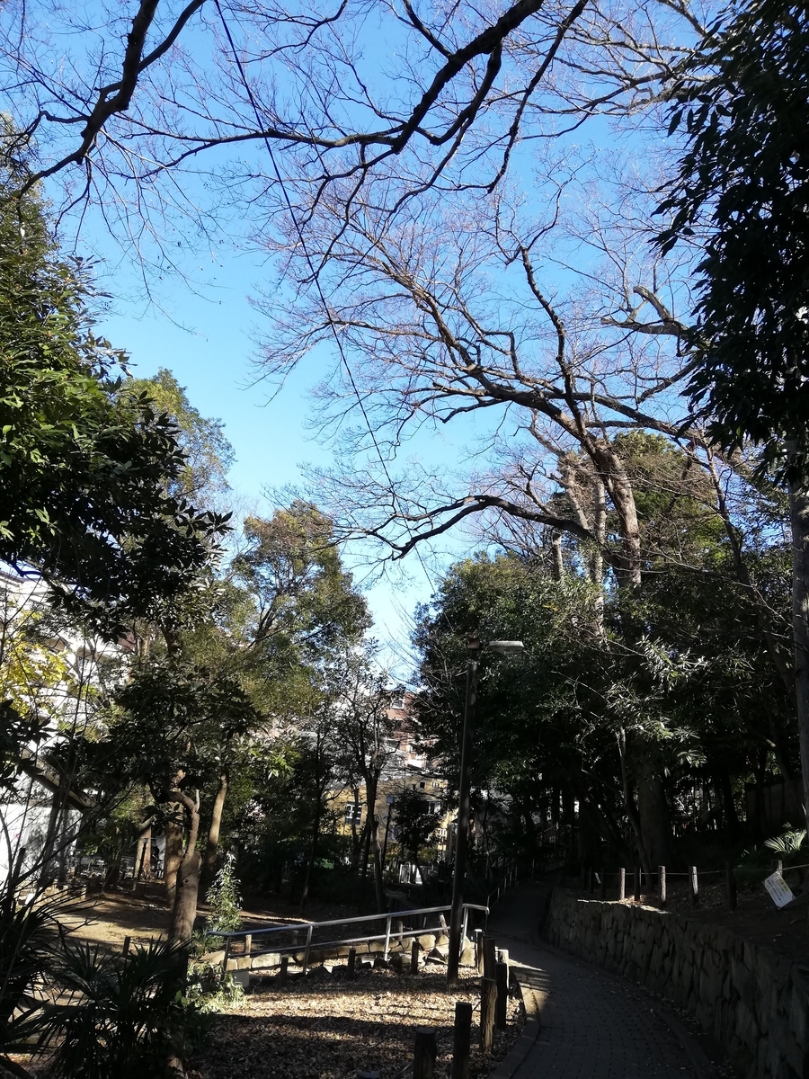 f:id:wmkaka86:20210103013651j:plain