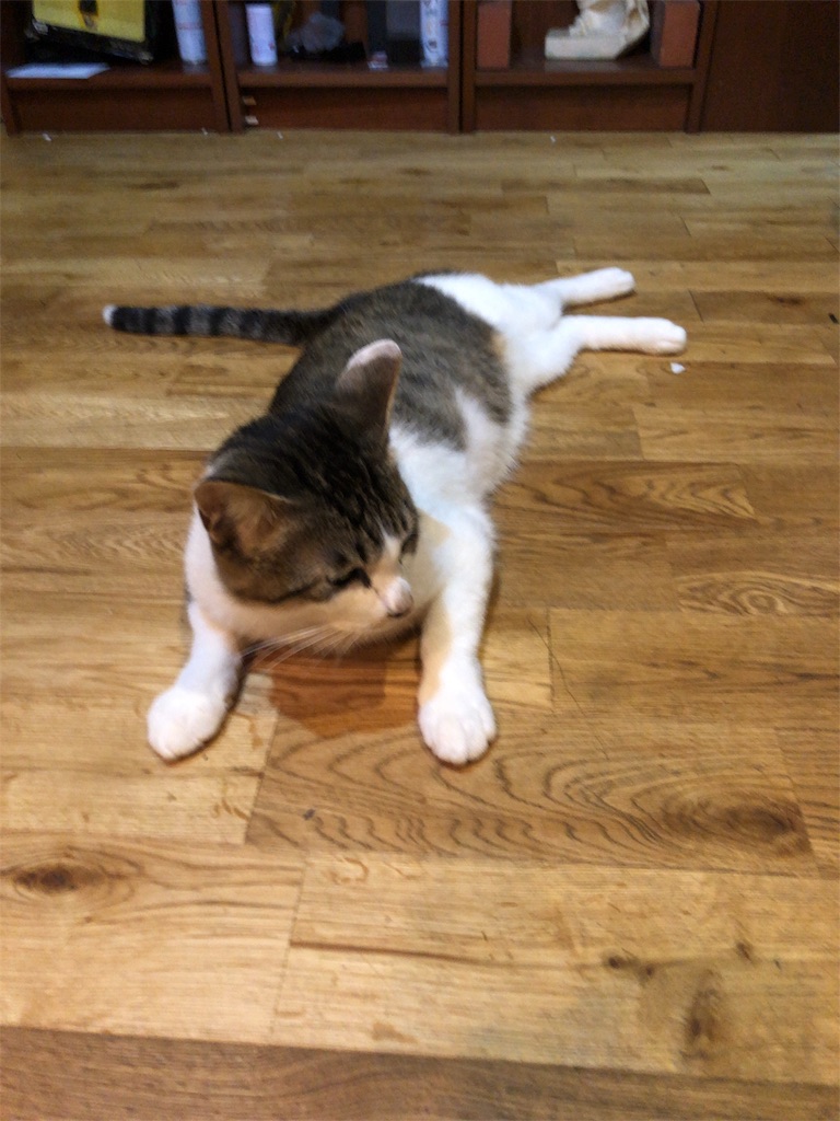 f:id:wnwnwnw:20190926100142j:image f:id:wnwnwnw:20190926100142j:image