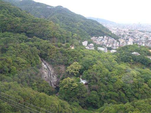 f:id:wode:20190528172844j:image f:id:wode:20190528172844j:image