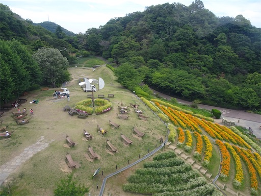 f:id:wode:20190528172849j:image f:id:wode:20190528172849j:image