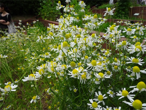 f:id:wode:20190528172855j:image f:id:wode:20190528172855j:image