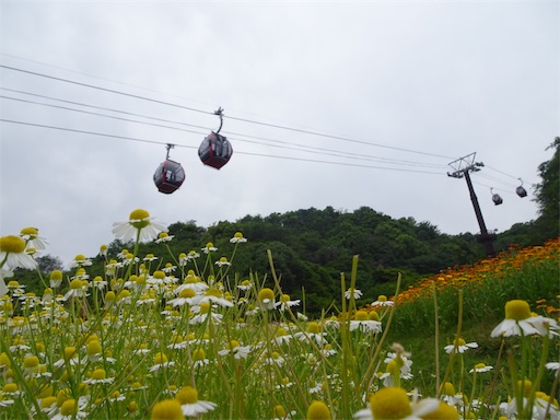 f:id:wode:20190528172905j:image f:id:wode:20190528172905j:image