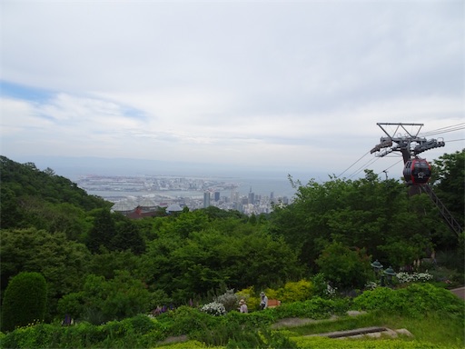 f:id:wode:20190528172918j:image f:id:wode:20190528172918j:image