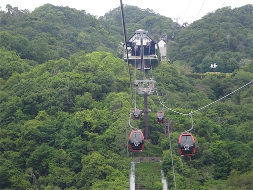 f:id:wode:20190528172932j:image f:id:wode:20190528172932j:image