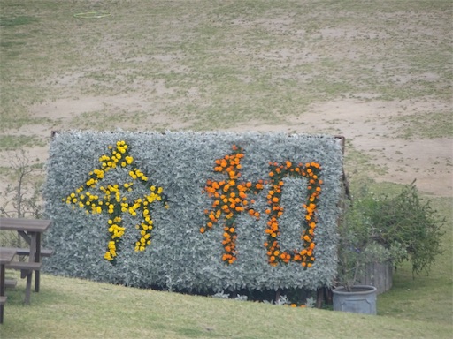 f:id:wode:20190528172947j:image f:id:wode:20190528172947j:image