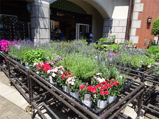 f:id:wode:20190528172953j:image f:id:wode:20190528172953j:image