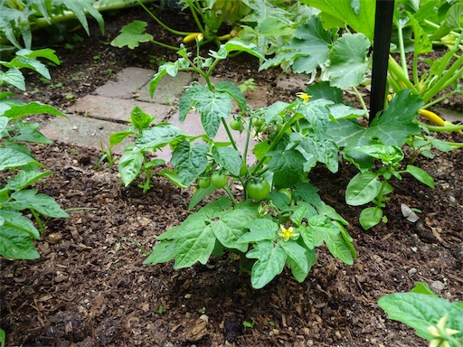 f:id:wode:20190528173008j:image f:id:wode:20190528173008j:image