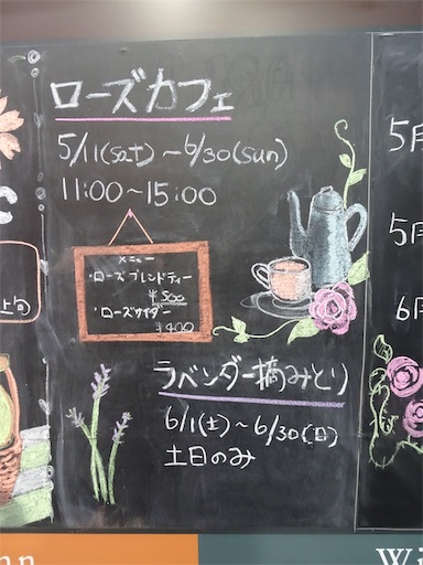 f:id:wode:20190528173011j:image f:id:wode:20190528173011j:image