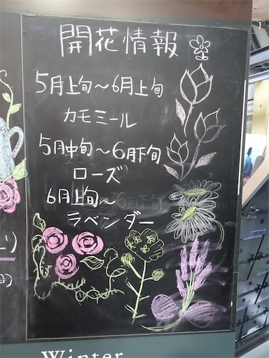 f:id:wode:20190528173025j:image f:id:wode:20190528173025j:image