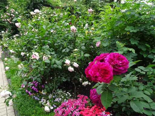 f:id:wode:20190528211010j:image f:id:wode:20190528211010j:image