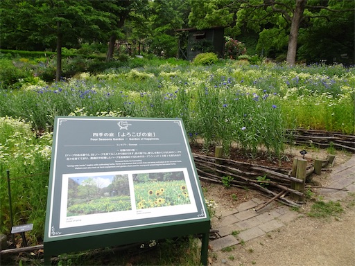 f:id:wode:20190528211136j:image f:id:wode:20190528211136j:image